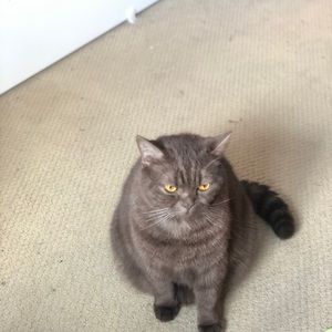 Meet your Posher, Heeseung